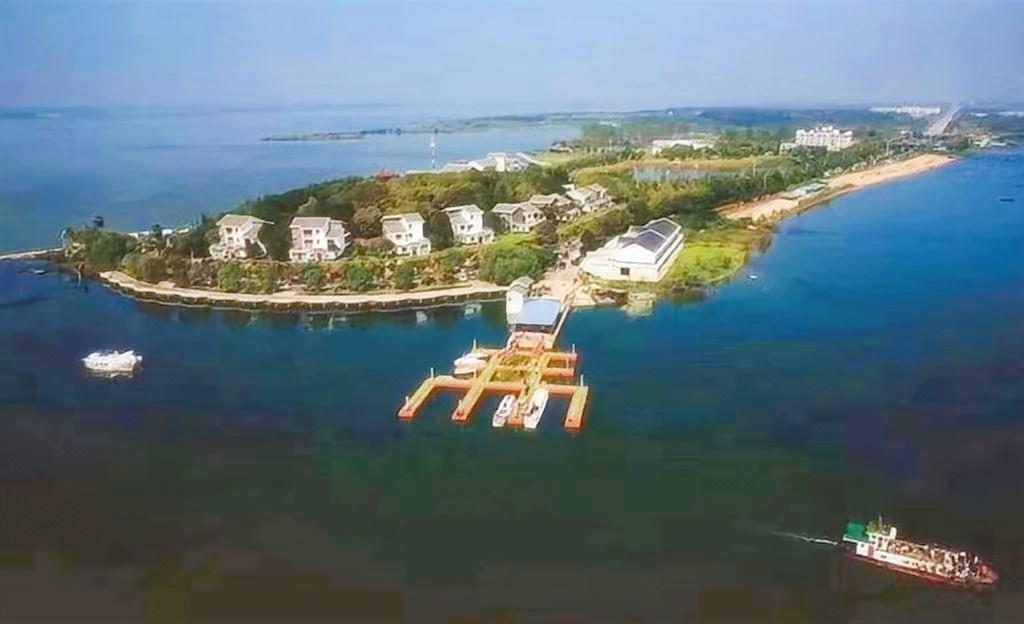 龙湾鸟瞰图.jpg